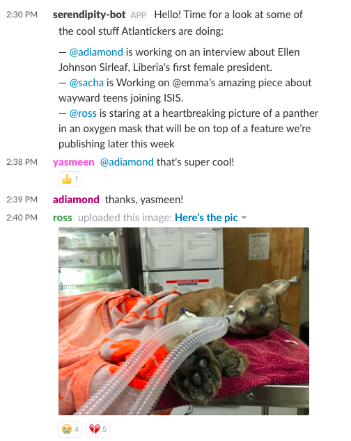 A slack conversation initated by the bot that culminates in a picture of a panther with a breathing mask.